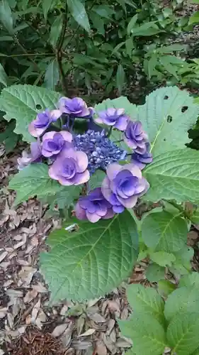 布多天神社(東京都)