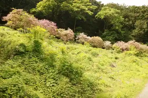 宝登山神社の自然