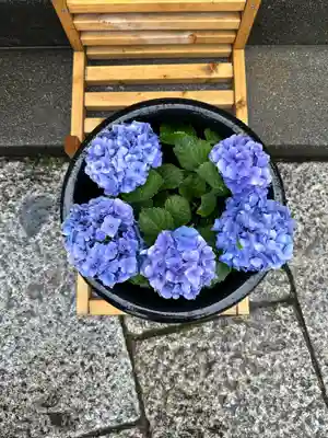 徳島眉山天神社(徳島県)