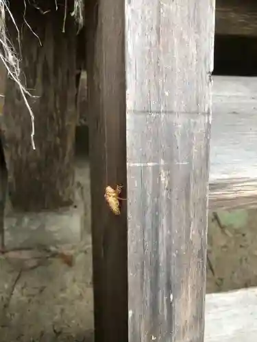 熊按神社(兵庫県)