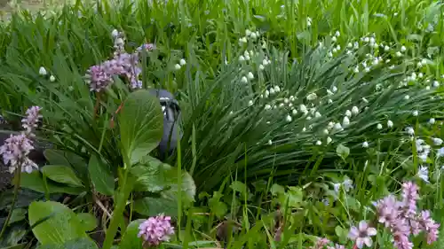 得浄明院（善光寺別院）(京都府)