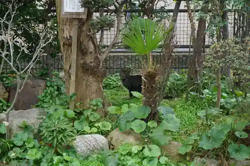 一宮神社の動物