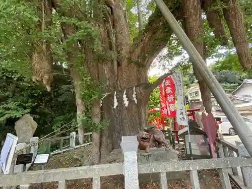 海南神社(神奈川県)