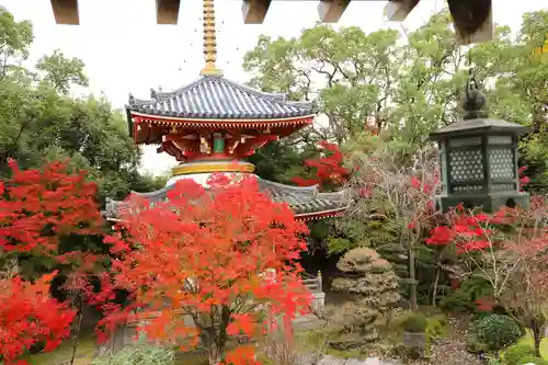 温泉山 安楽寺(四国霊場第六番札所)の建物その他