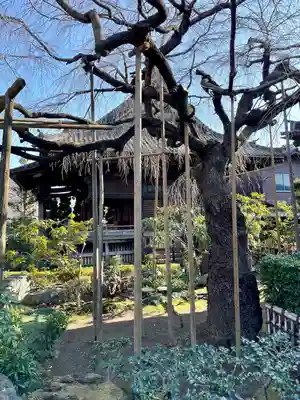 玉蔵院(埼玉県)