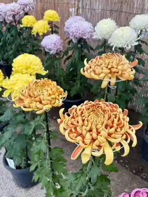 蚊里田八幡宮(長野県)