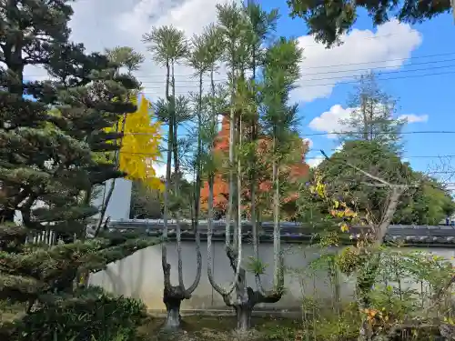 慈眼院(大阪府)