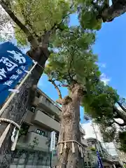 阿倍王子神社(大阪府)