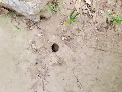 八幡宮（藤川古墳）(群馬県)