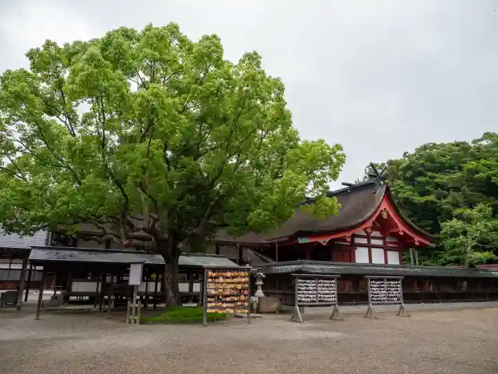 宗像大社(福岡県)