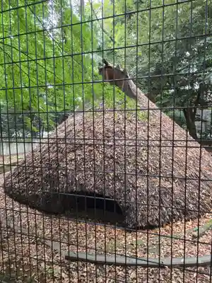 代々木八幡宮の歴史