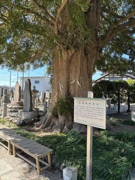 石田寺(東京都)