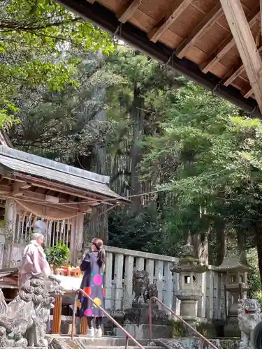天鷹神社(岐阜県)