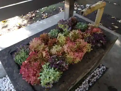 北広島市総鎮守　廣島神社(北海道)