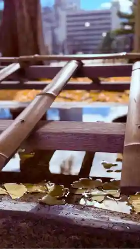 福井神社(福井県)