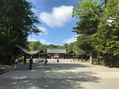 北海道神宮の景色