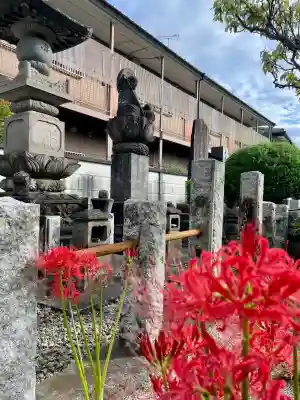 花蔵院(東京都)