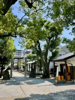 橘樹神社(神奈川県)