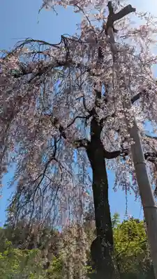 法金剛院(京都府)