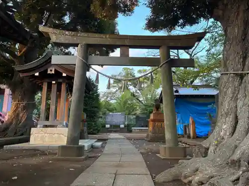 蘇羽鷹神社(千葉県)