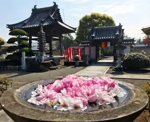 真言宗　善通寺派　薬王寺(香川県)