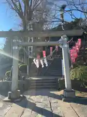 温泉神社〜いわき湯本温泉〜の鳥居