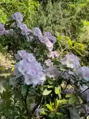 牟禮山観音禅寺(滋賀県)