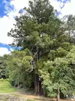 岩神社(奈良県)