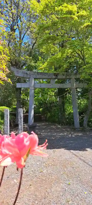 氷上神社の{uncategorized: "未分類", other: "その他", undefined: "問題あり", building: "その他建物", grave: "お墓", sacred_gate: "鳥居", guardian: "狛犬", statue: "像", buddha: "仏像", history: "歴史", nature: "自然", garden: "庭園", animal: "動物", pagoda: "塔", temizu: "手水舎", mountain_gate: "山門・神門", sanctuary: "本殿・本堂", subordinate: "末社・摂社", art: "芸術", scenery: "景色", jizo: "地蔵", ema: "絵馬", goshuin: "御朱印", omikuji: "おみくじ", items: "授与品その他", amulet: "お守り", goshuincho: "御朱印帳", eats: "食事", festival: "お祭り", votive_dance: "神楽", shichigosan: "七五三参", wedding: "結婚式", experience: "体験その他", initially: "初詣", around: "周辺", anti_infection: "感染症対策"}