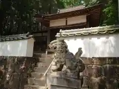 八幡宮の狛犬