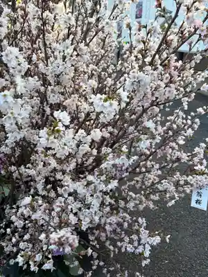 眞性寺(東京都)