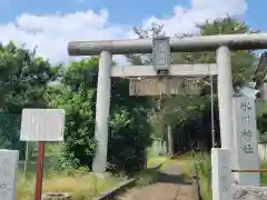 馬場氷川神社の鳥居