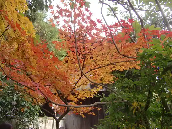 金地院(京都府)