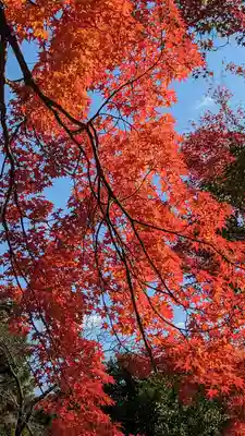 西雲院(京都府)