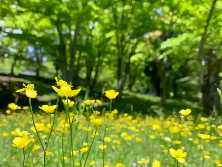 土津神社|こどもと出世の神さまの自然