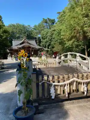 進雄神社(群馬県)