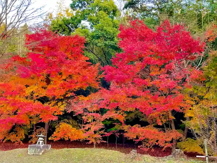 円光寺(三重県)