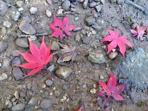 妙法寺(福井県)