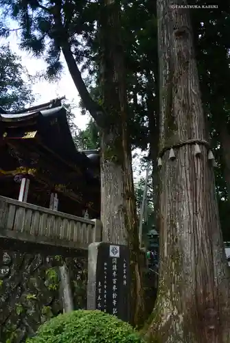 三峯神社の自然