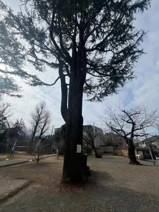 寛永寺(根本中堂)の{uncategorized: "未分類", other: "その他", undefined: "問題あり", building: "その他建物", grave: "お墓", sacred_gate: "鳥居", guardian: "狛犬", statue: "像", buddha: "仏像", history: "歴史", nature: "自然", garden: "庭園", animal: "動物", pagoda: "塔", temizu: "手水舎", mountain_gate: "山門・神門", sanctuary: "本殿・本堂", subordinate: "末社・摂社", art: "芸術", scenery: "景色", jizo: "地蔵", ema: "絵馬", goshuin: "御朱印", omikuji: "おみくじ", items: "授与品その他", amulet: "お守り", goshuincho: "御朱印帳", eats: "食事", festival: "お祭り", votive_dance: "神楽", shichigosan: "七五三参", wedding: "結婚式", experience: "体験その他", initially: "初詣", around: "周辺", anti_infection: "感染症対策"}