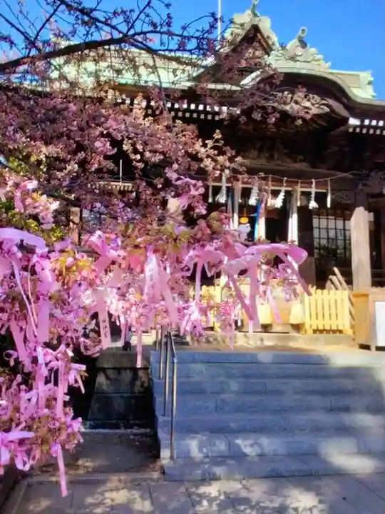 桜神宮(東京都)