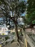 腰神神社(大阪府)