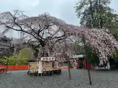 富士山本宮浅間大社(静岡県)