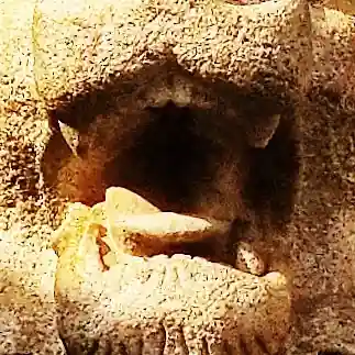 神田神社(神田明神)の狛犬