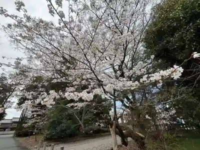 砥鹿神社（里宮）(愛知県)