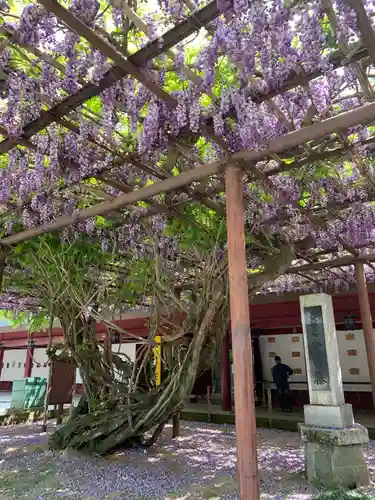 笠間稲荷神社の庭園