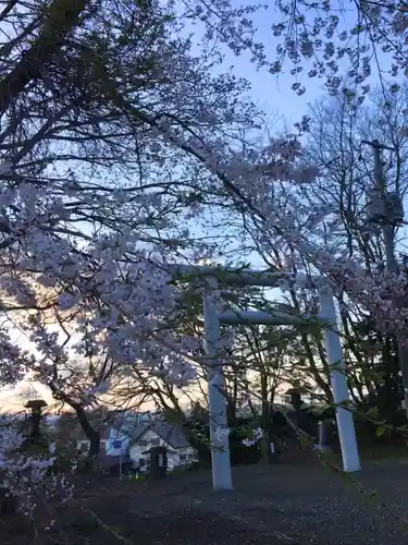 砂川神社の鳥居