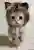 miyu-kさんのプロフィール画像
