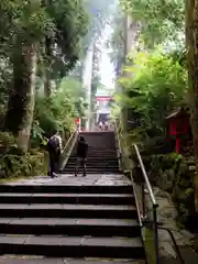 箱根神社の建物その他