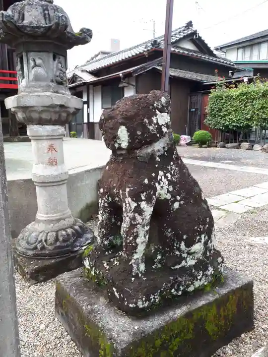 増田神社の狛犬